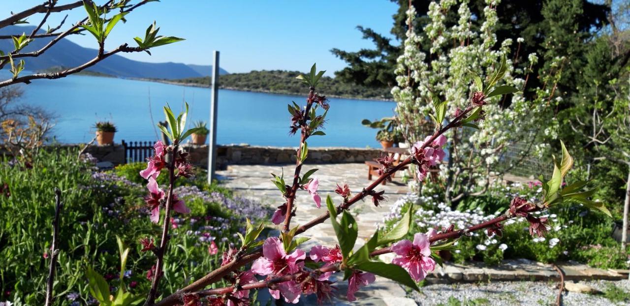 Blueline Guesthouse Agios Dimitrios  Dış mekan fotoğraf