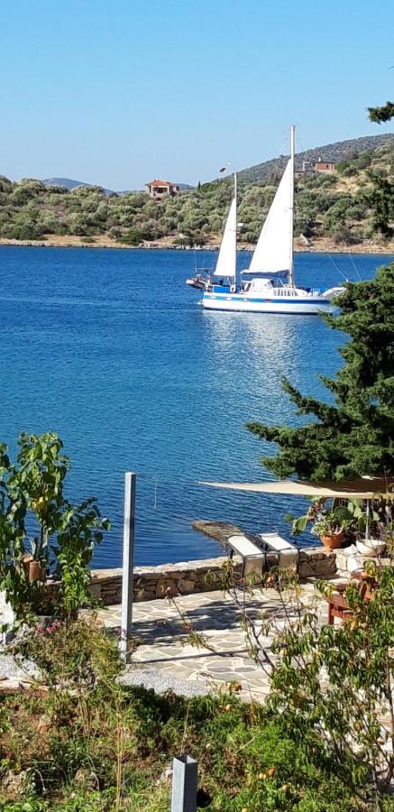 Blueline Guesthouse Agios Dimitrios  Dış mekan fotoğraf